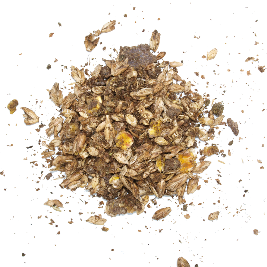 Ruppiner Senior Müsli