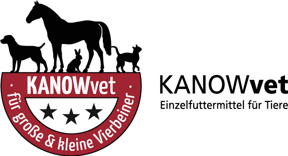 Zur Startseite gehen